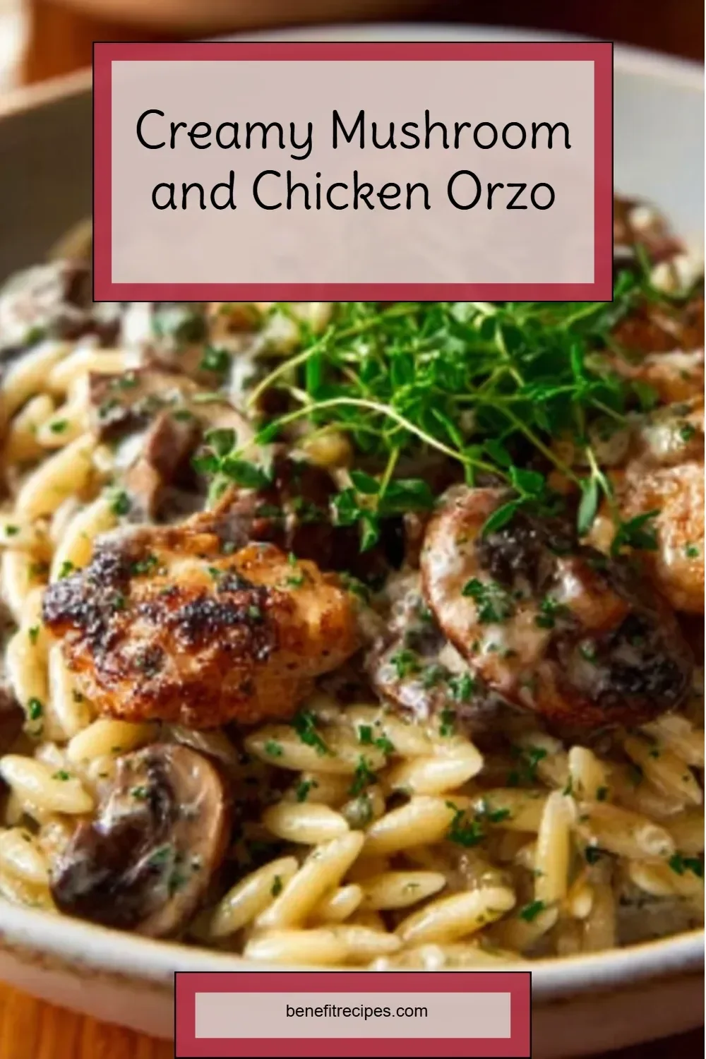 Creamy mushroom and chicken orzo dish with fresh herbs